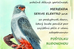 certifikc3a1t-202602