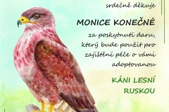 certifikc3a1t-202603