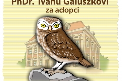 obrc3a1zek-whatsapp-2025-06-30-v-08-20-44_ec1d01f6
