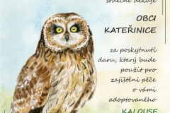 whatsapp-image-2026-02-23-at-13-55-55